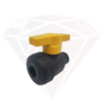 Poly Chemical Resistant Valves 1/2" FPT